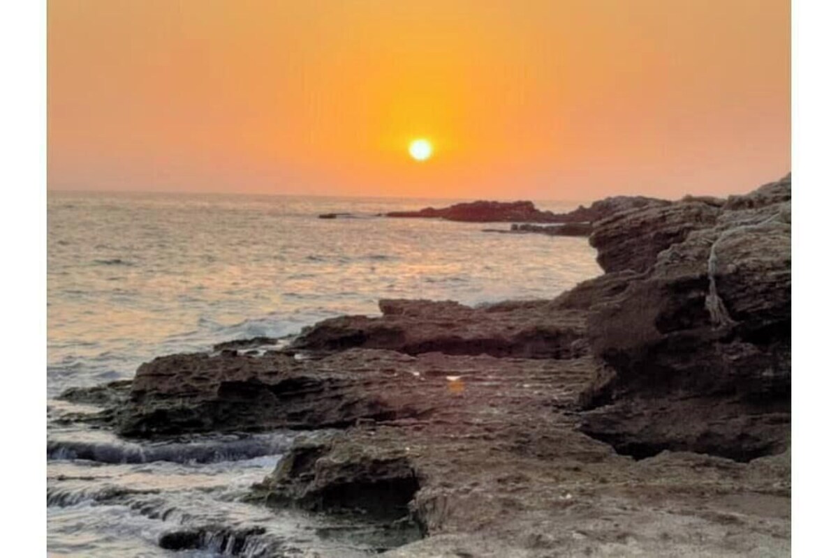 Image de profil de lâhĂŽte