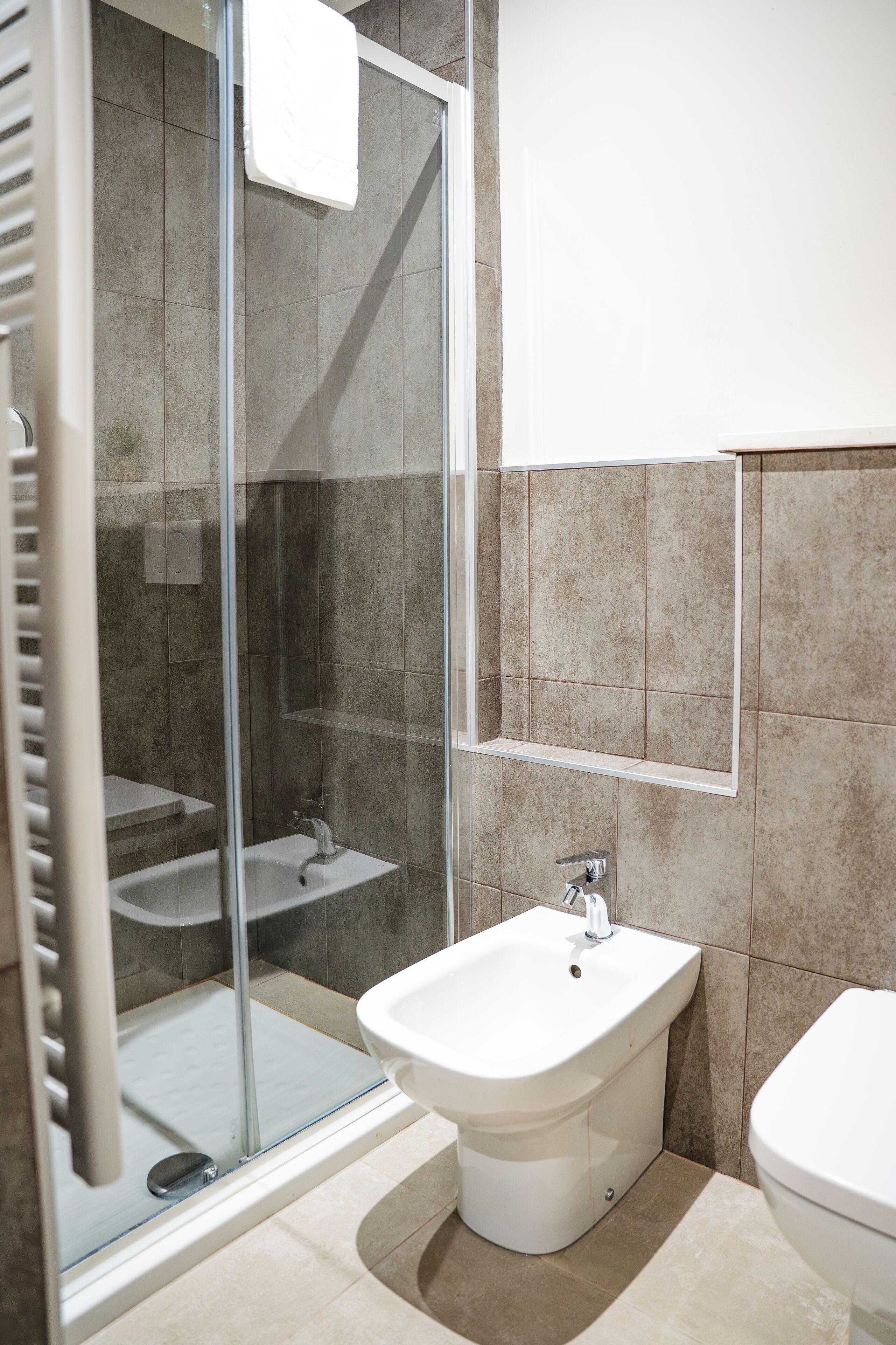 Shower, hair dryer, bidet, towels