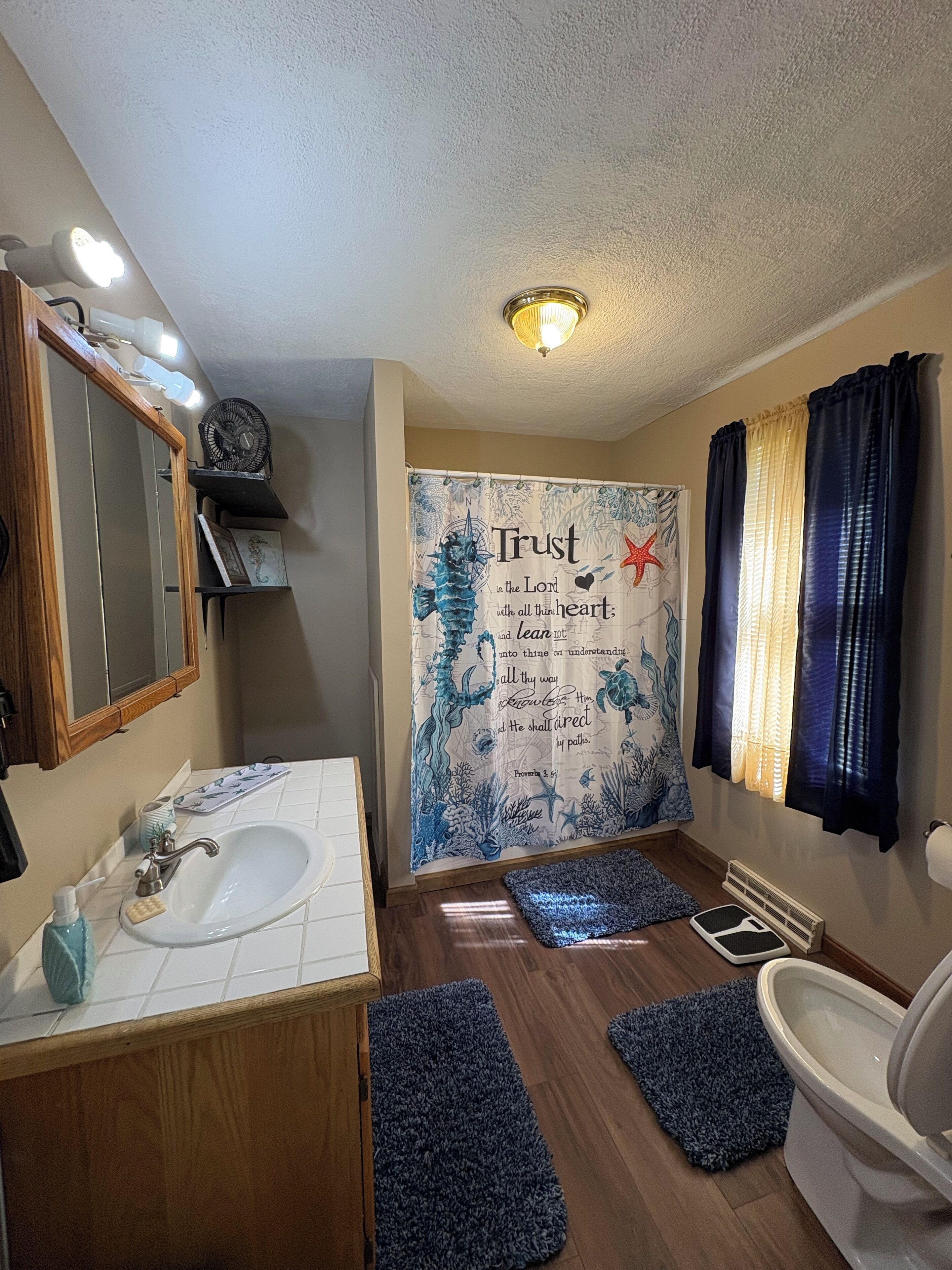 Secador de pelo, toallas, papel higiénico