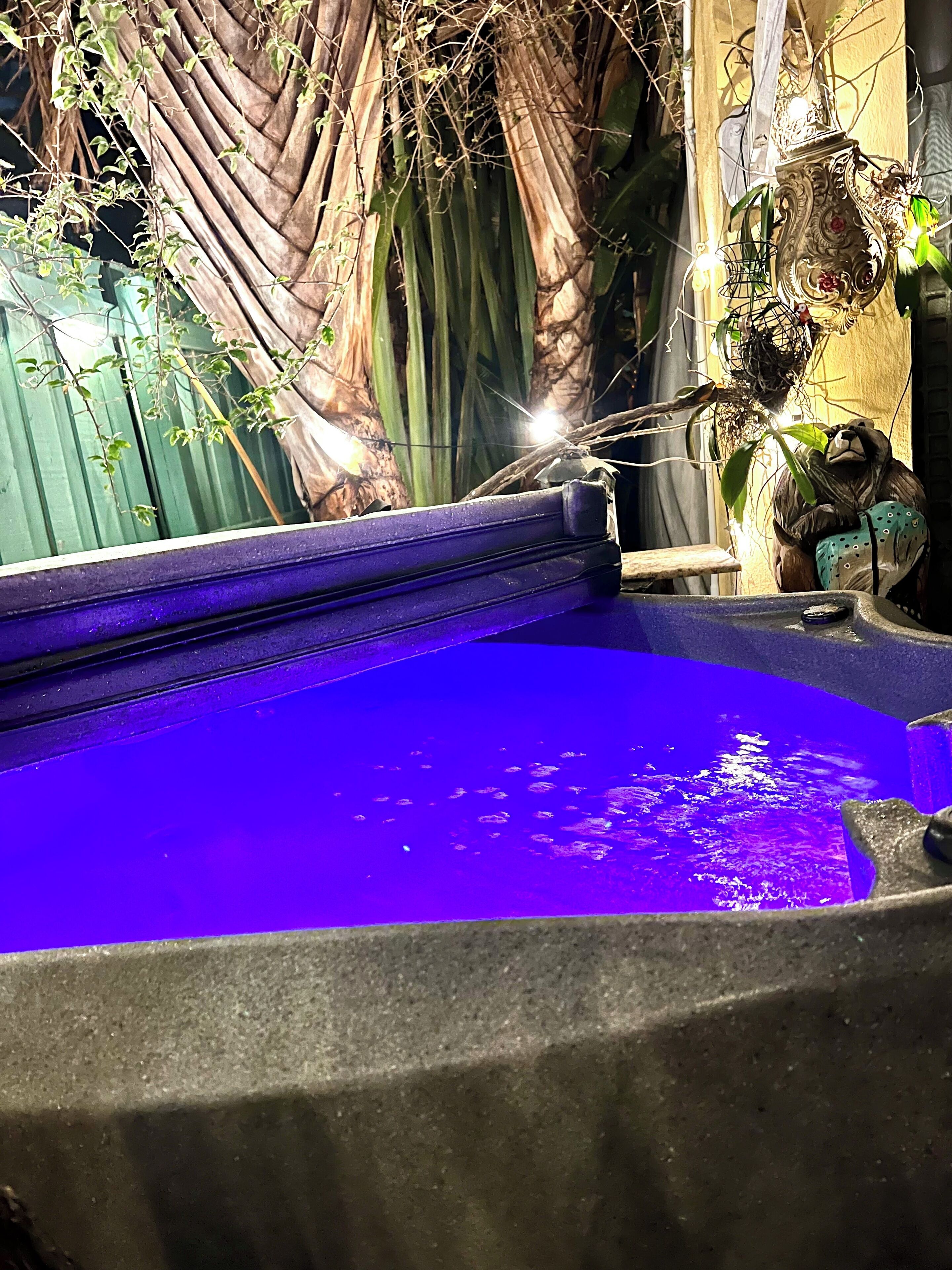 A blue pool with a stone edge, surrounded by plants and a decorative vase.
