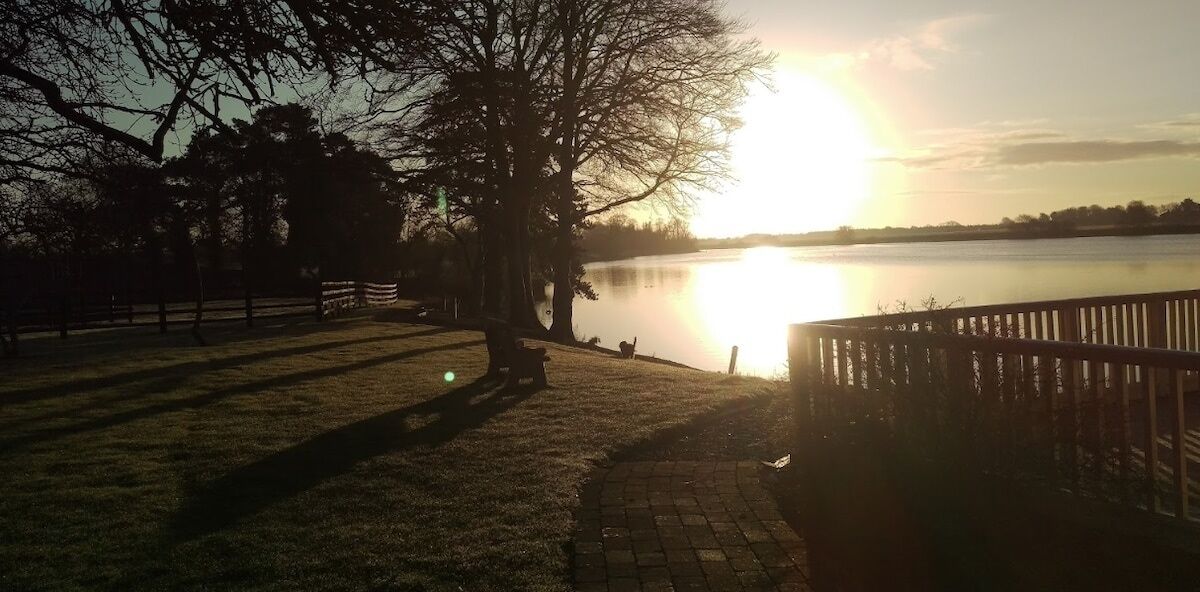 A park with a bench and a wooden fence by a lake during sunset.