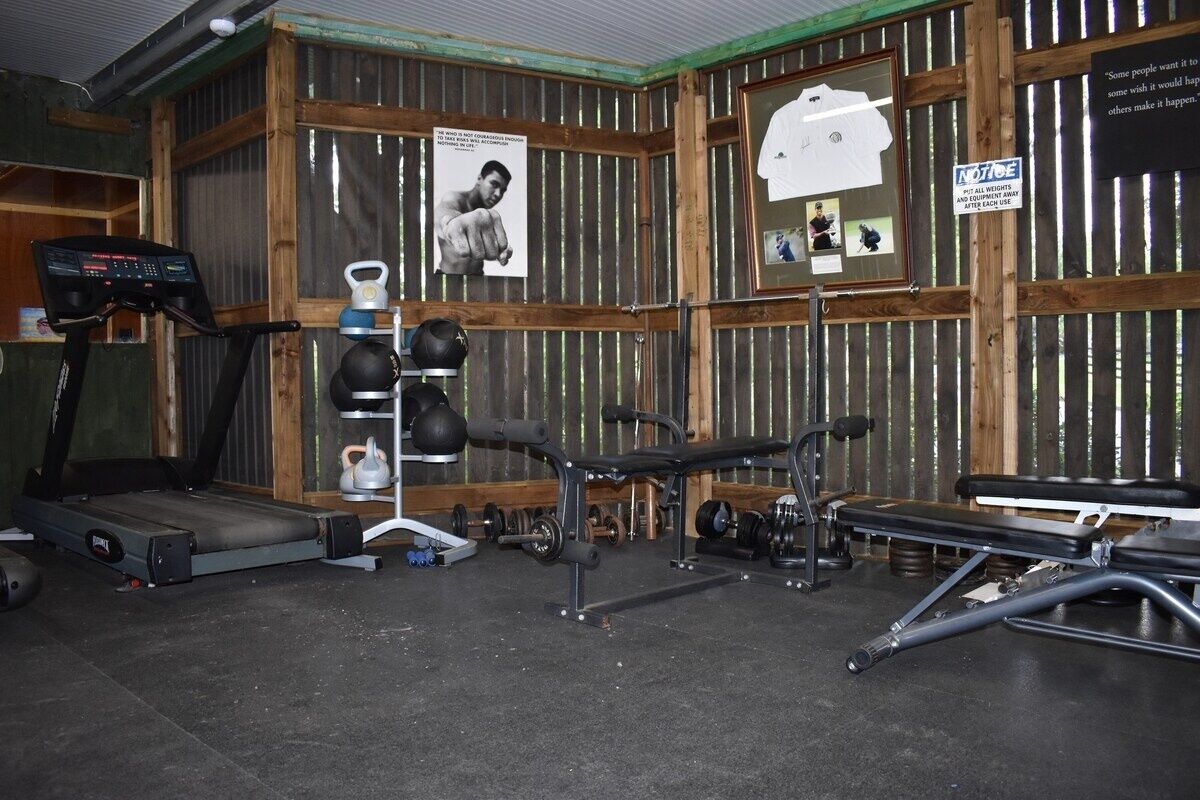 A gym with a treadmill, bench press, kettlebells, and a punching bag.