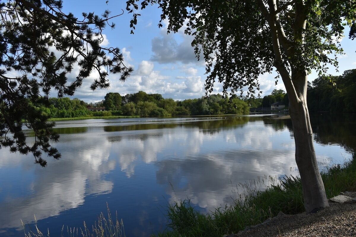 Un lago tranquilo con los reflejos de árboles y un cielo despejado.