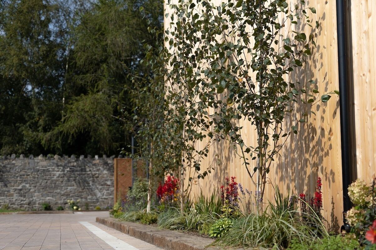 Un camino pavimentado que conduce a un edificio con fachada de madera.