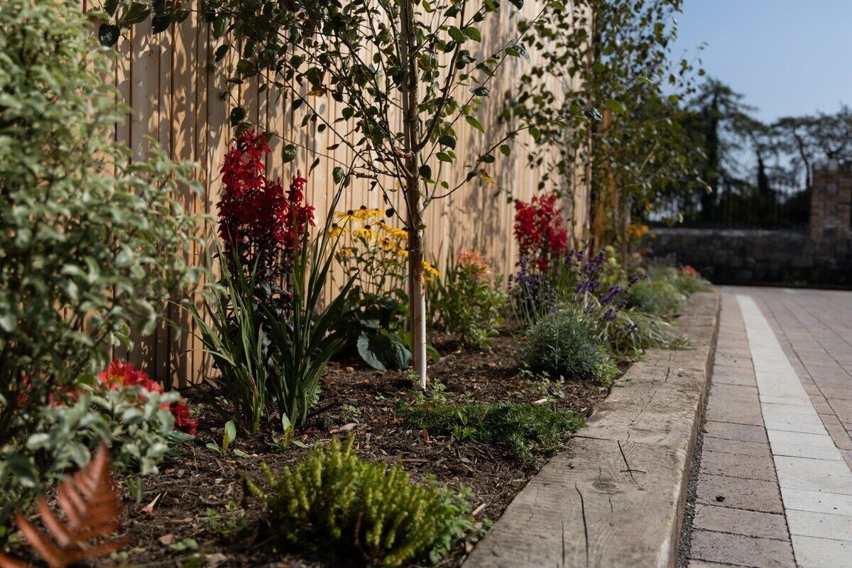 A garden with various plants and flowers along a pathway.