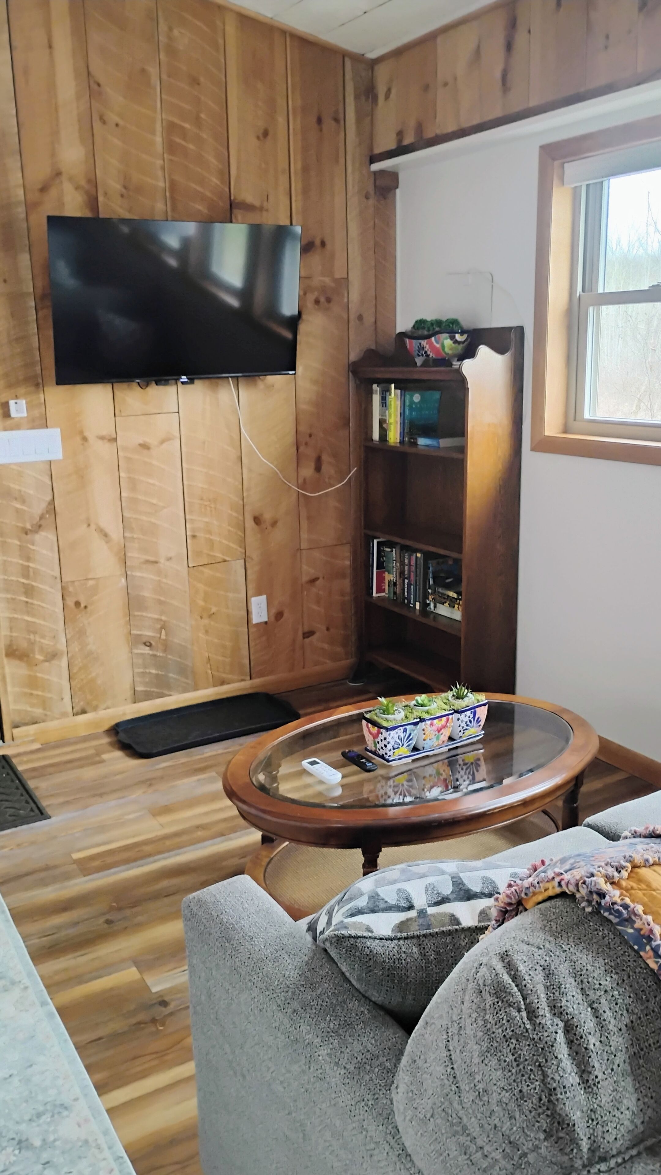 Smart-TV, Bücher