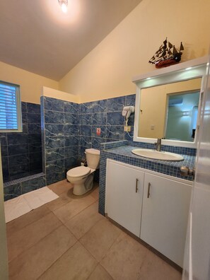 Shower, hair dryer, towels, soap