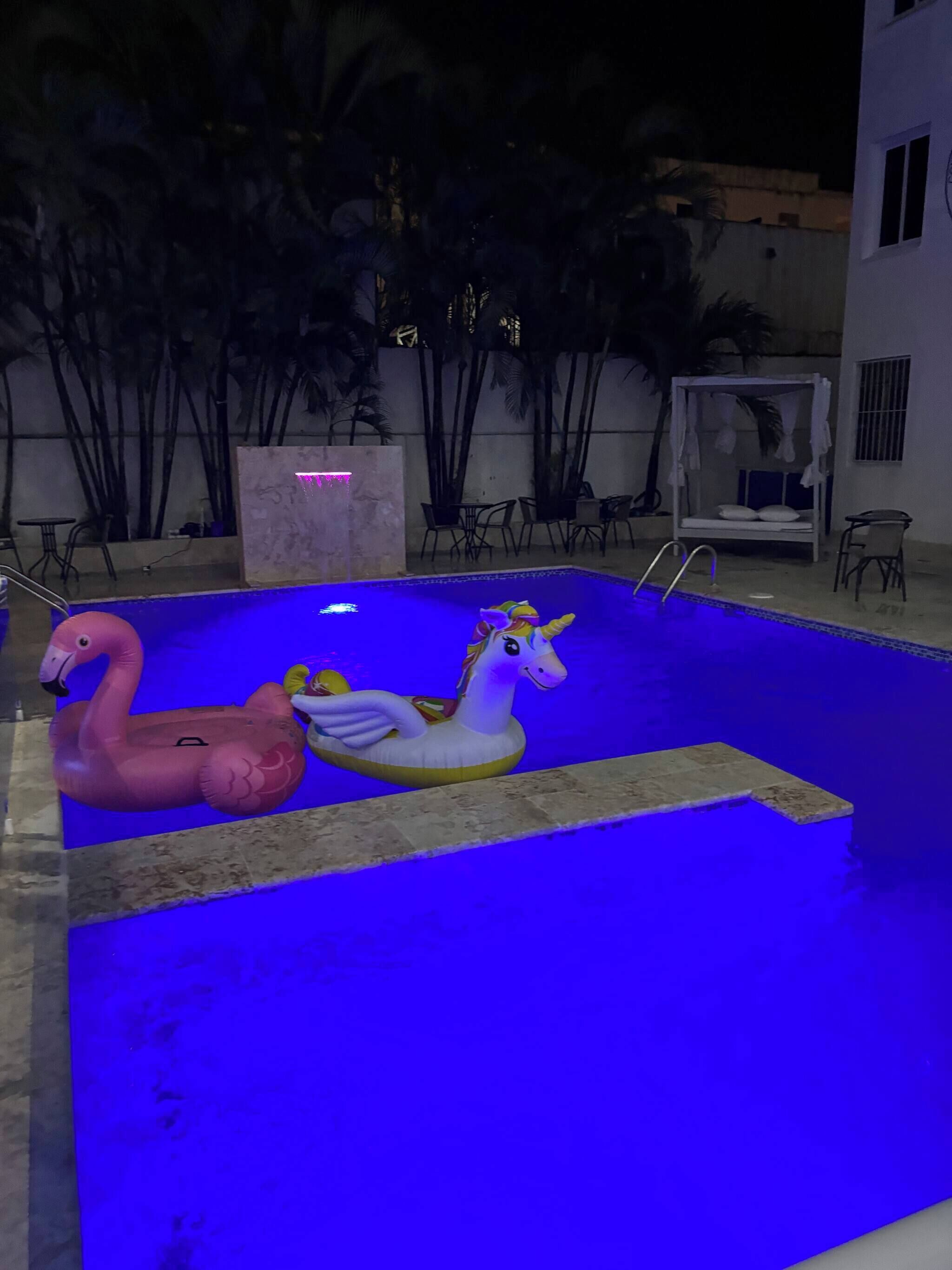 A swimming pool with two inflatable swan floats and a canopy bed.
