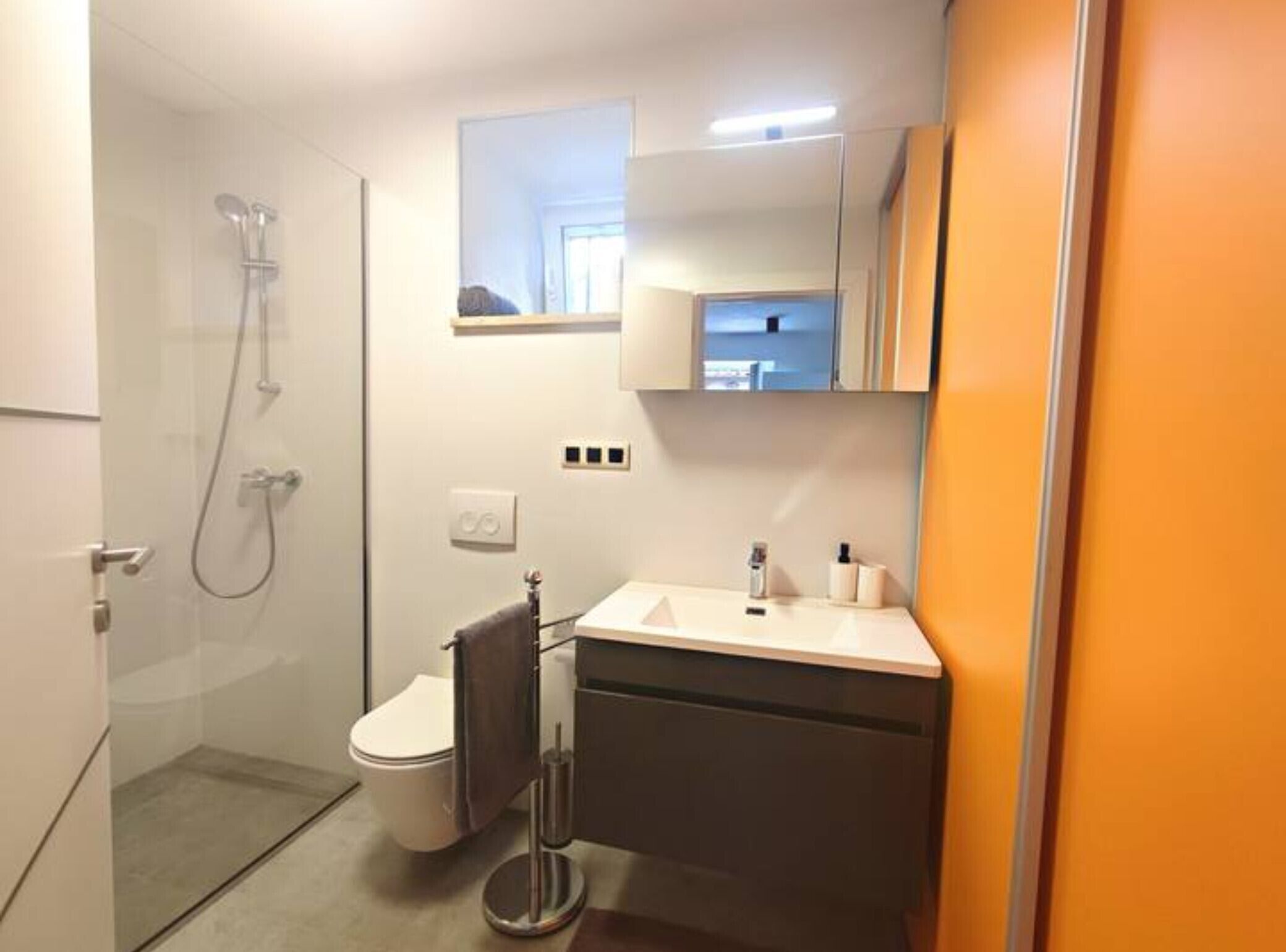 A modern bathroom with a glass shower enclosure, a toilet, a sink with a mirror above it, and a towel rack.