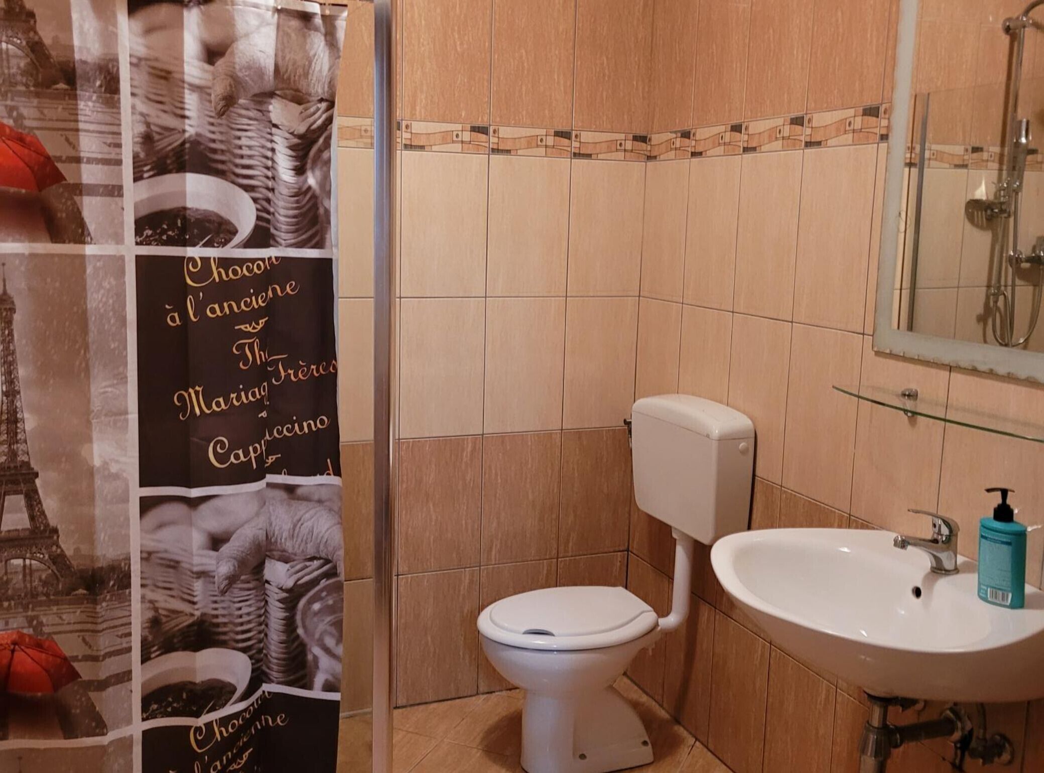 Une salle de bain équipée de toilettes, d’un lavabo et d’une douche.