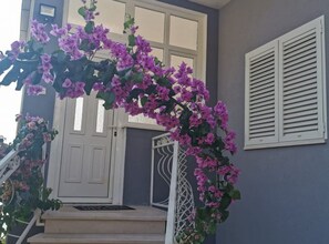 Detalle exterior