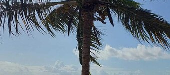 Kokoye Boutique Hotel