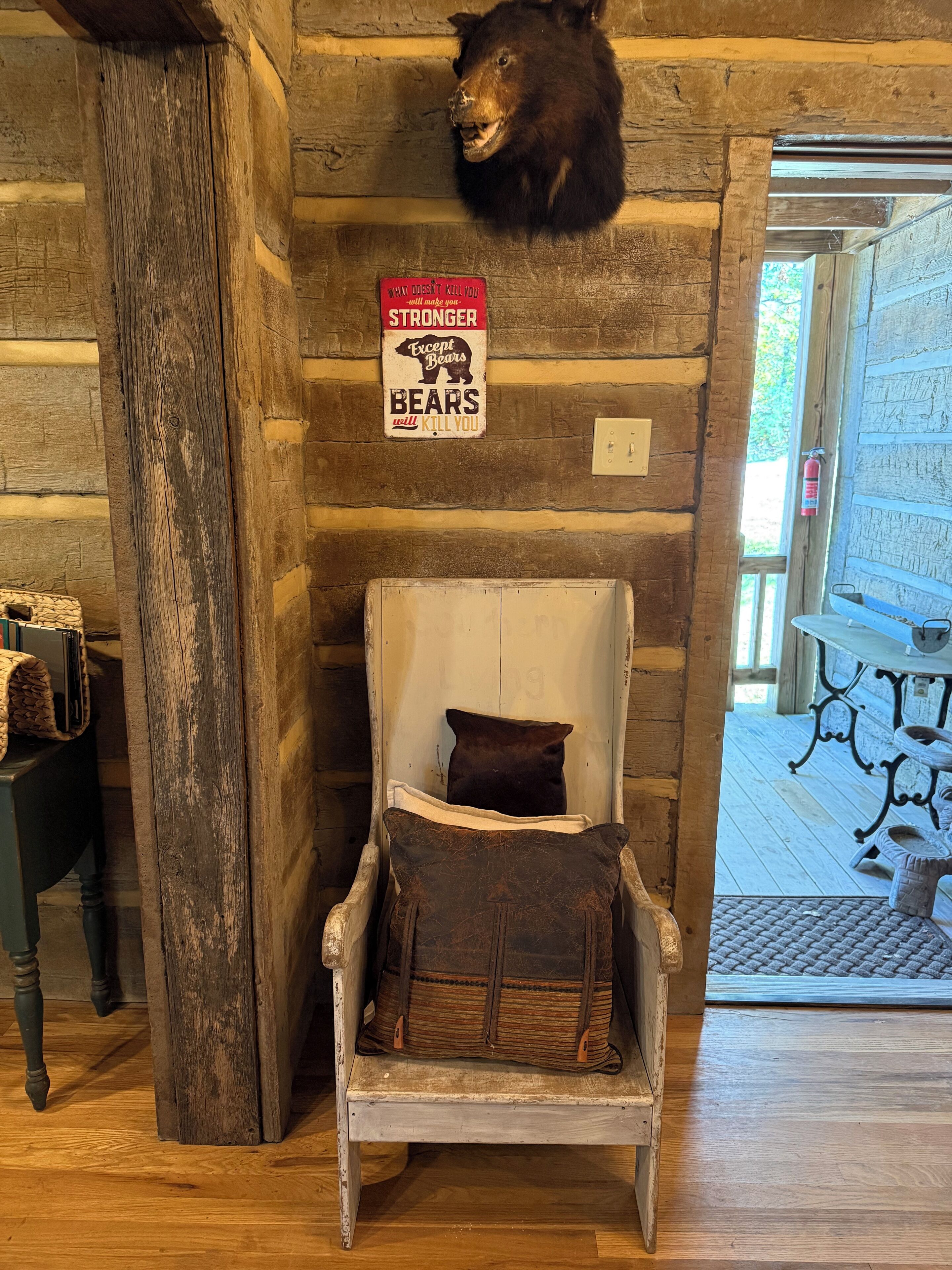 A rustic wooden chair with a cushion, a mounted bear head, and a sign reading "What doesn't kill you will make you stronger except bears will kill you."