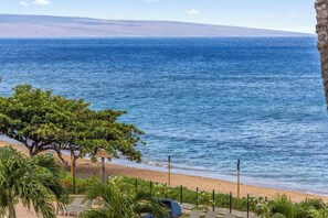 A beach view with a tree, a chair, and a fence. - Oceanview 1 bedroom Resort condo, AC, amenities, beach, walkable area. (Kaanapali)