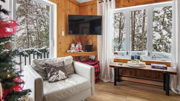 Fernseher, Kamin
