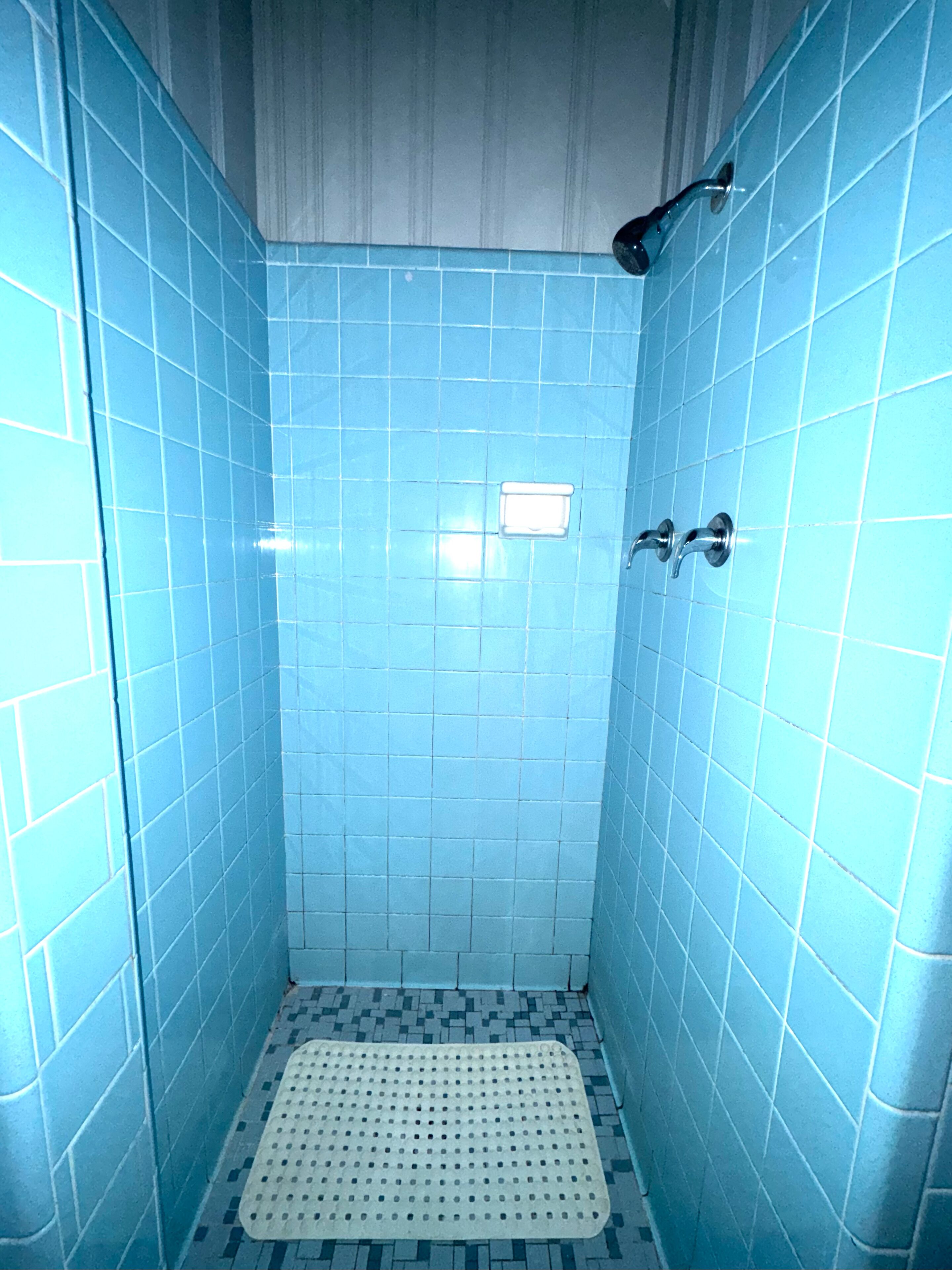 Een kleine, betegelde douchekamer met een douchekop en een handdouche.