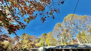 Une rangée de cabanes avec des fondations en pierre, une véranda couverte et un ciel dégagé.