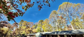 Parkview Lodge & Cabins