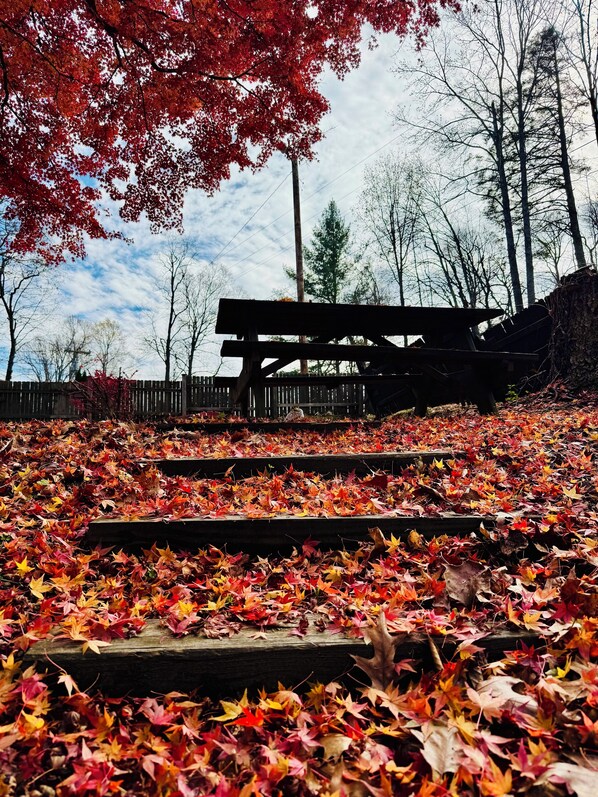 Exterior - Parkview Lodge & Cabins (Newland)