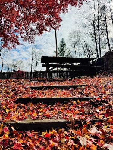 Parkview Lodge & Cabins