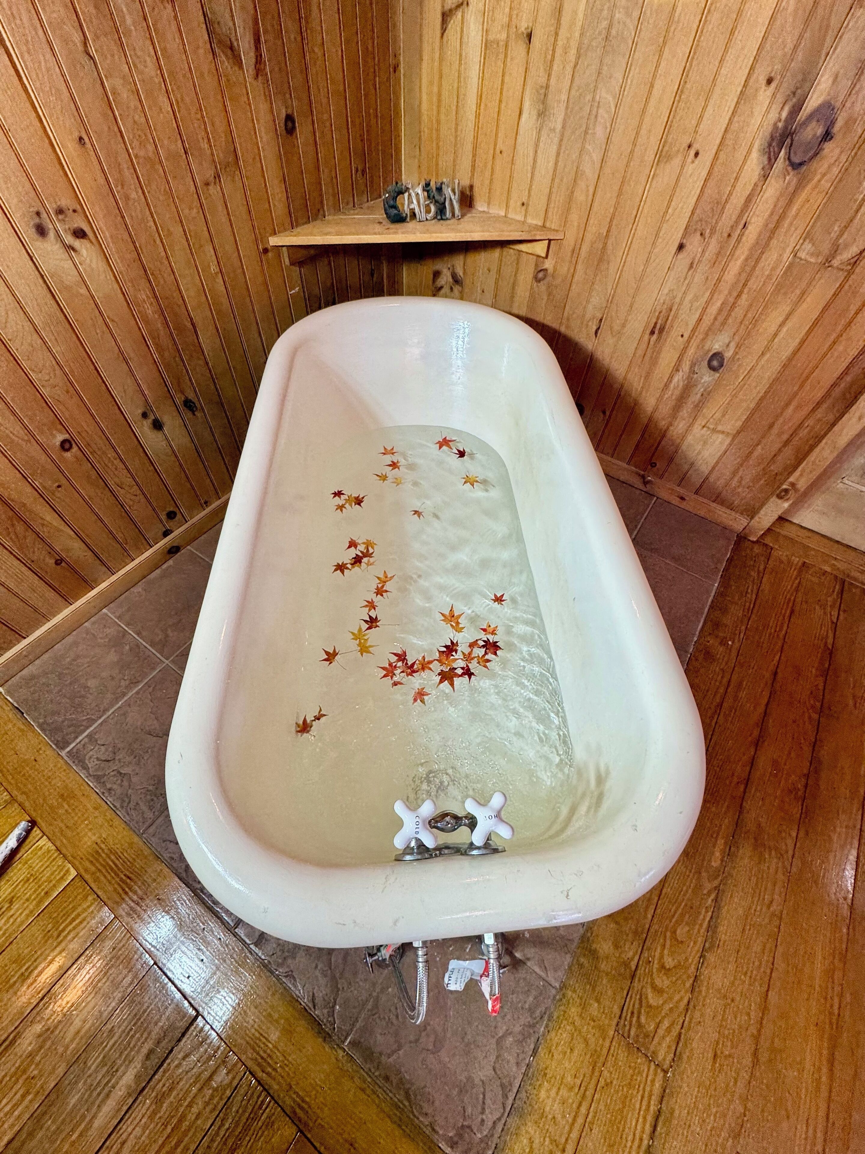 经济小屋 | 免费 WiFi