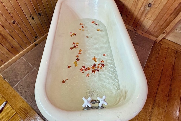 Economy Cabin | Free WiFi