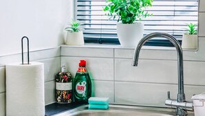 A kitchen with a sink, a potted plant, a roll of paper towels, and a bottle of dish soap. - Chic studio, sleeps 2, free parking (Pudsey)