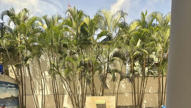 A swimming pool with a tiled edge, surrounded by palm trees and a wall with a mural. - Charming studio in the Heart of Sosua, Facing the pool & at 2 min from the Beach (Sosúa)
