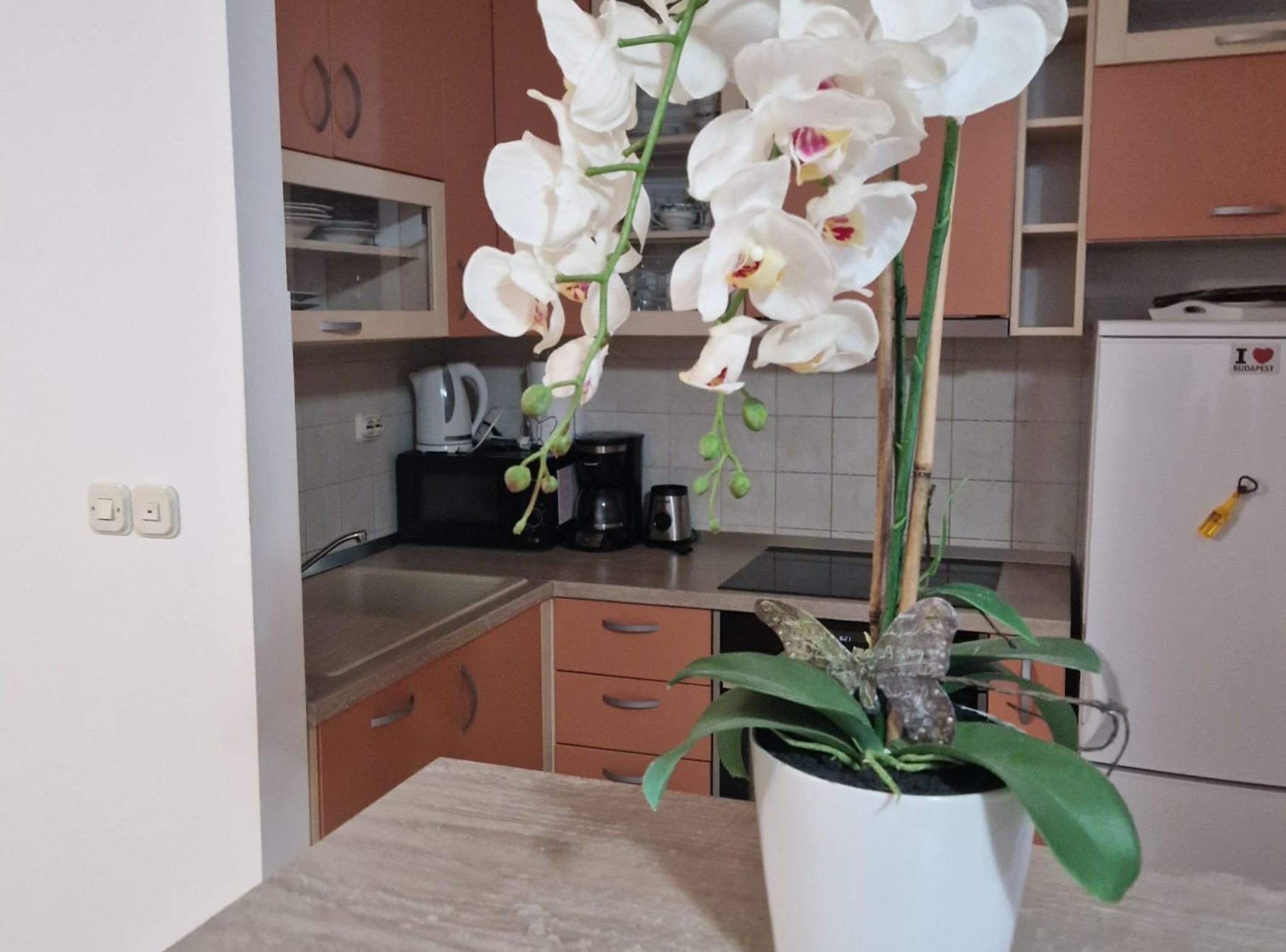 A kitchen with wooden cabinets, a coffee maker, and a potted orchid plant on the counter.