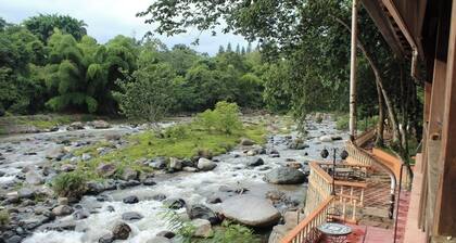 Tranquil Hideaway – Perfect for Families, Friends & Couples.