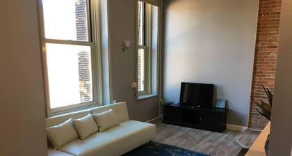 Renovated Downtown Condo in the HEART OF IT ALL