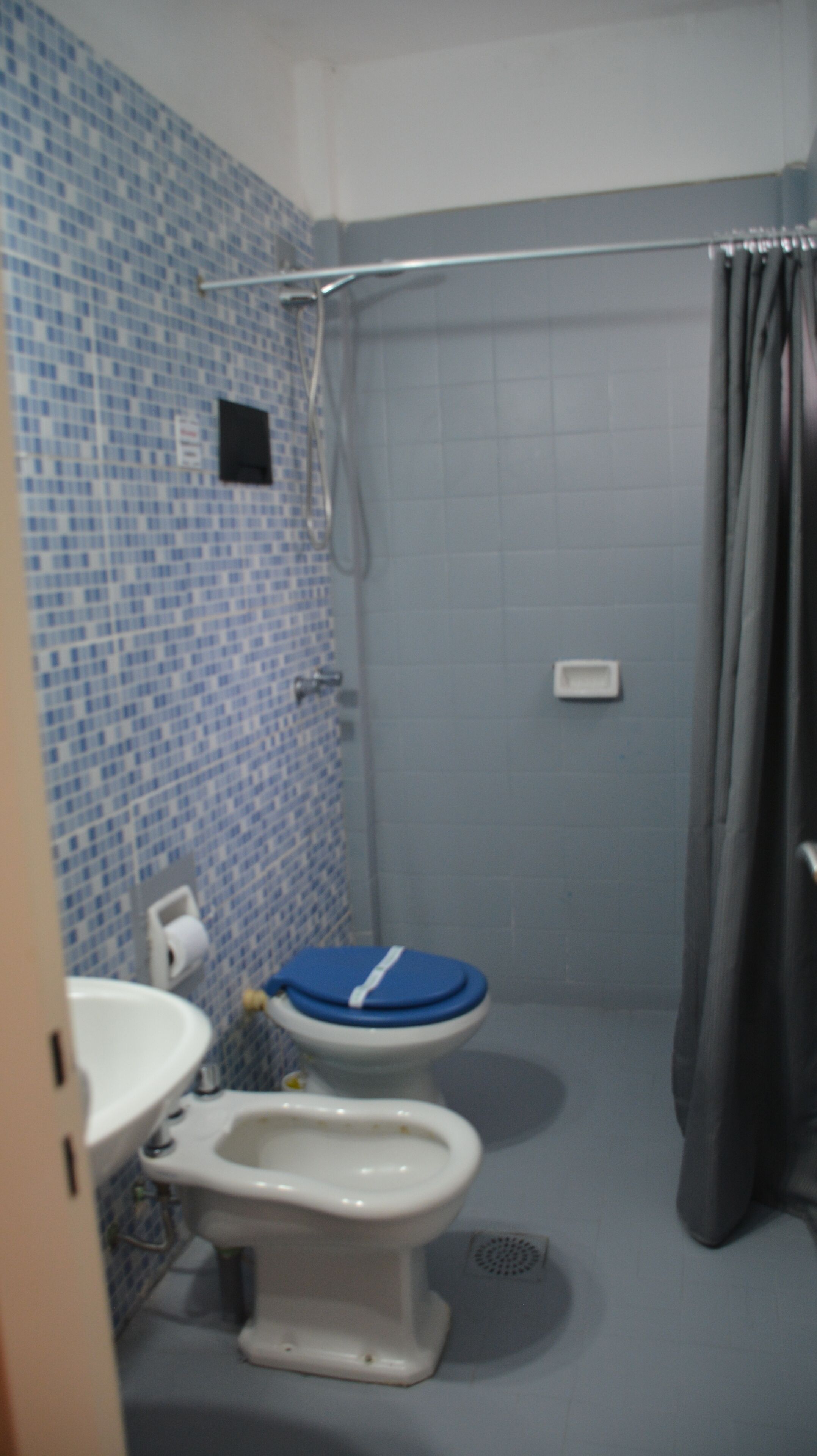 A bathroom with a toilet, bidet, and shower.