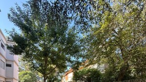 An outdoor seating area with tables and chairs, surrounded by trees and a wooden fence. - Black Suites Pinamar  (Pinamar)