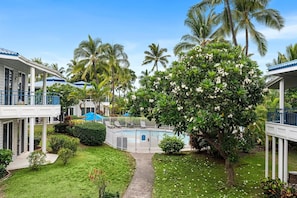 Leilighet, flere senger (Mauna Loa Village#55) | Basseng