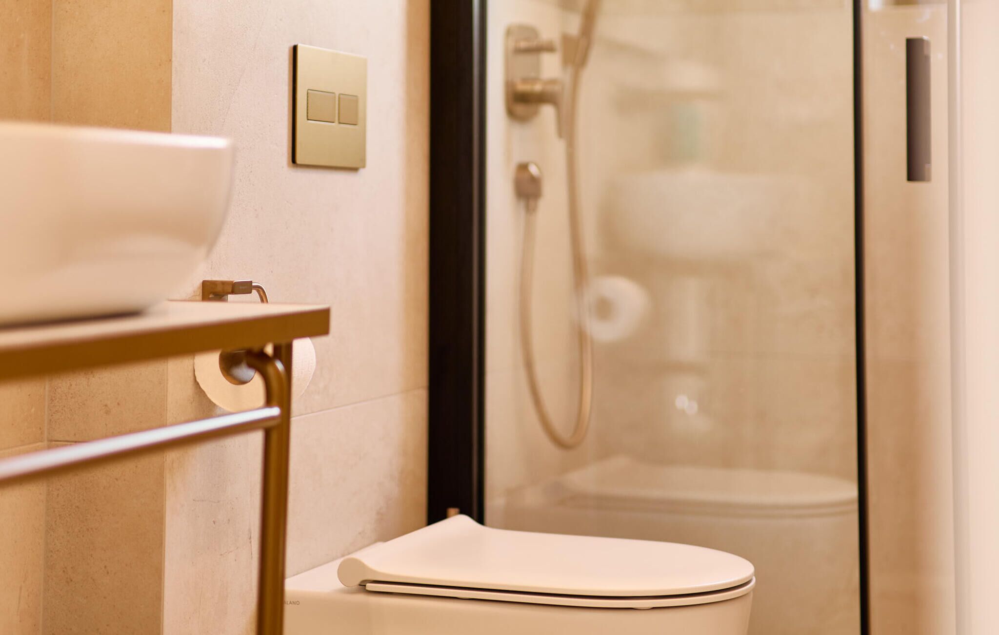Shower, hair dryer