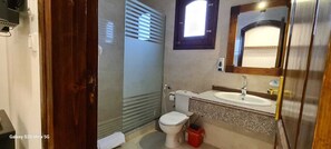 Shower, bidet, towels, toilet paper