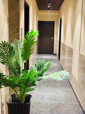A hallway with marble walls, a dark wooden door at the end, and potted plants along the path.