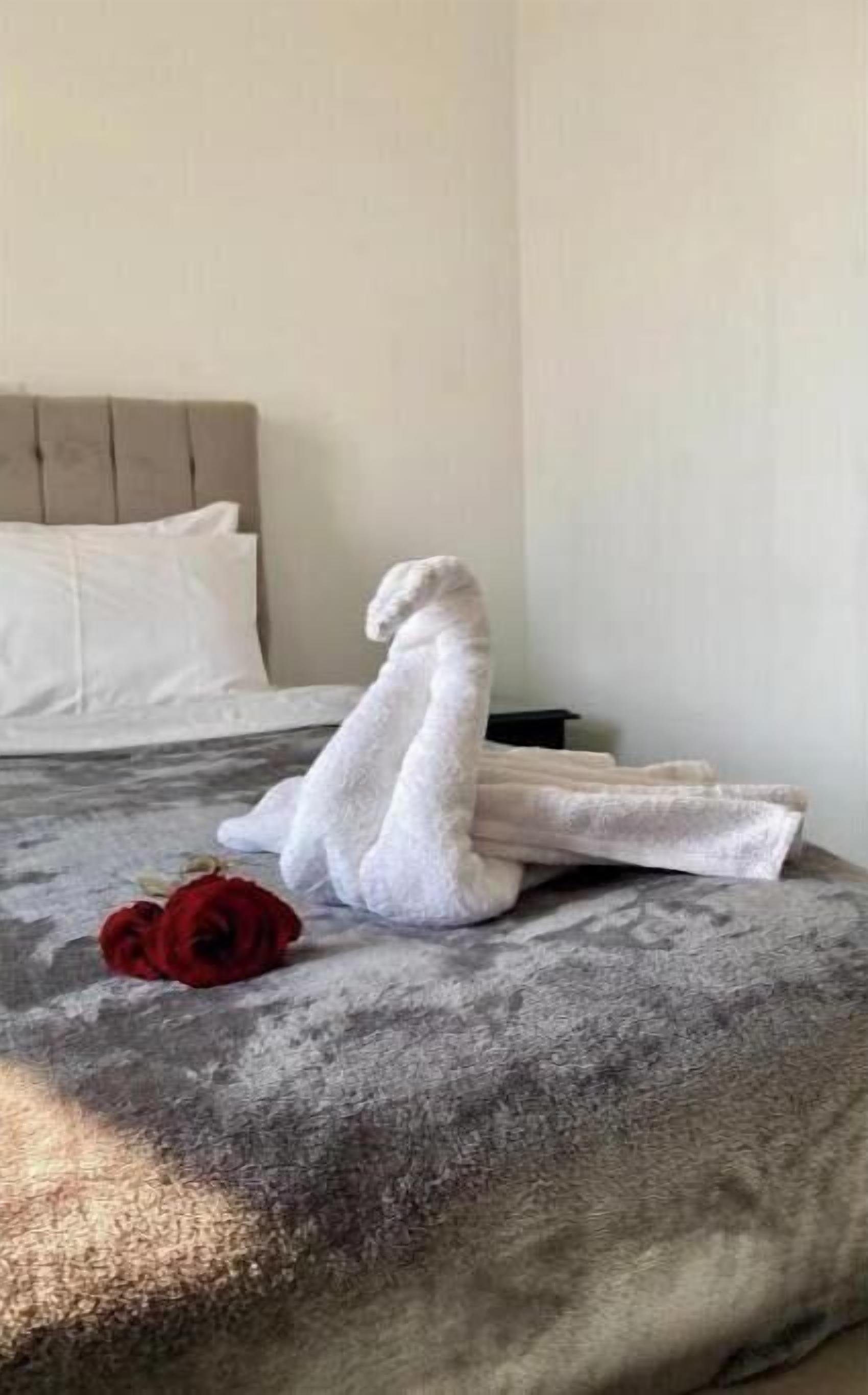 1 slaapkamer, internet, beddengoed