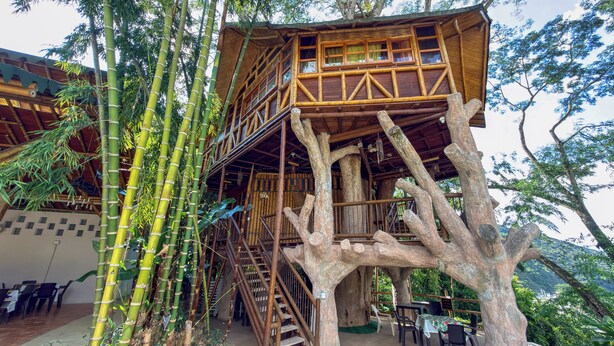 A treehouse with a wooden exterior and a staircase leading up to it. - Solvae (San Jeronimo)