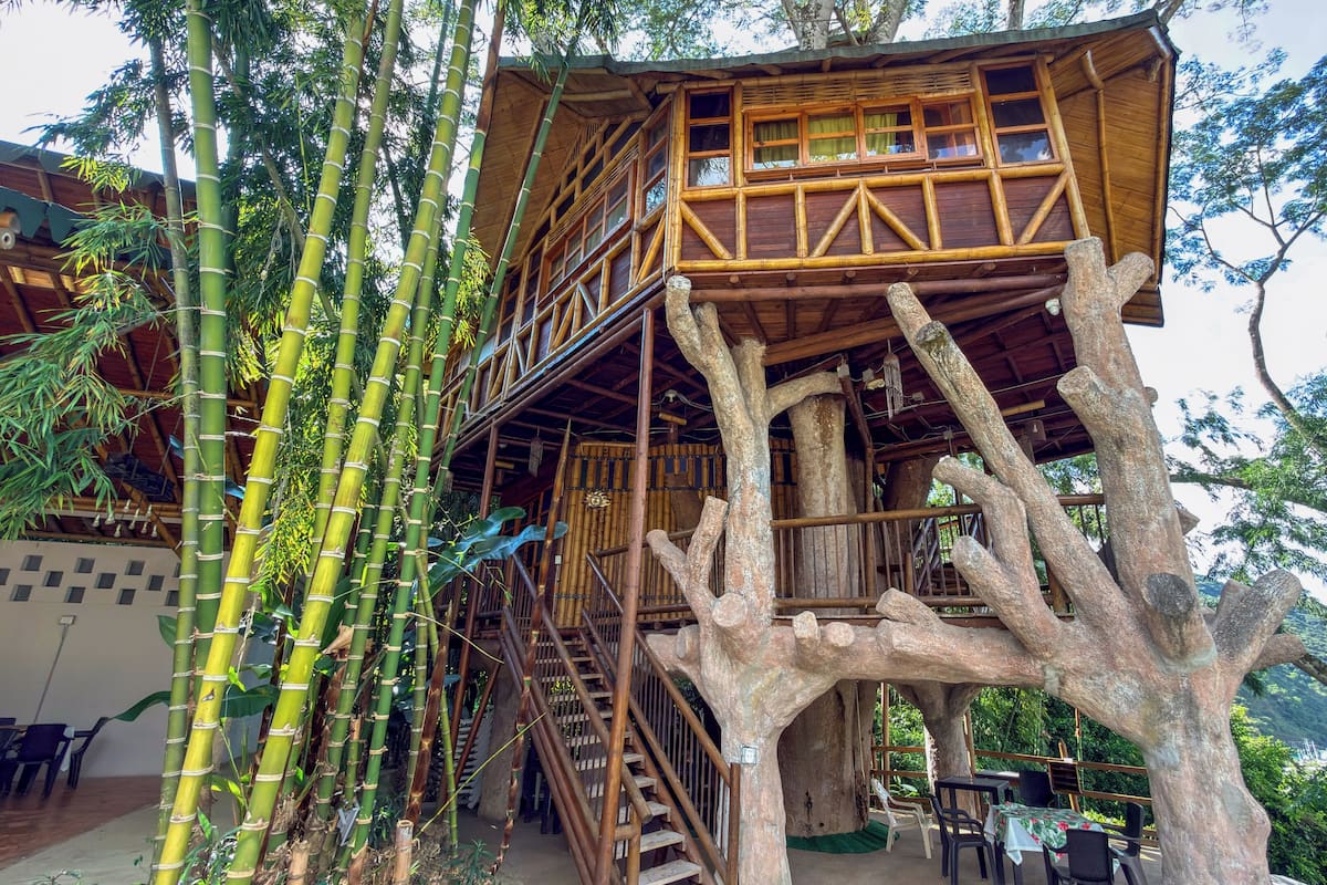 Tree House | Free WiFi