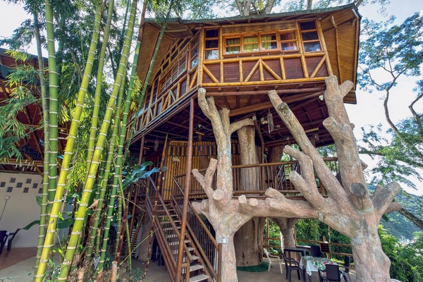 Tree House | WiFi (free)