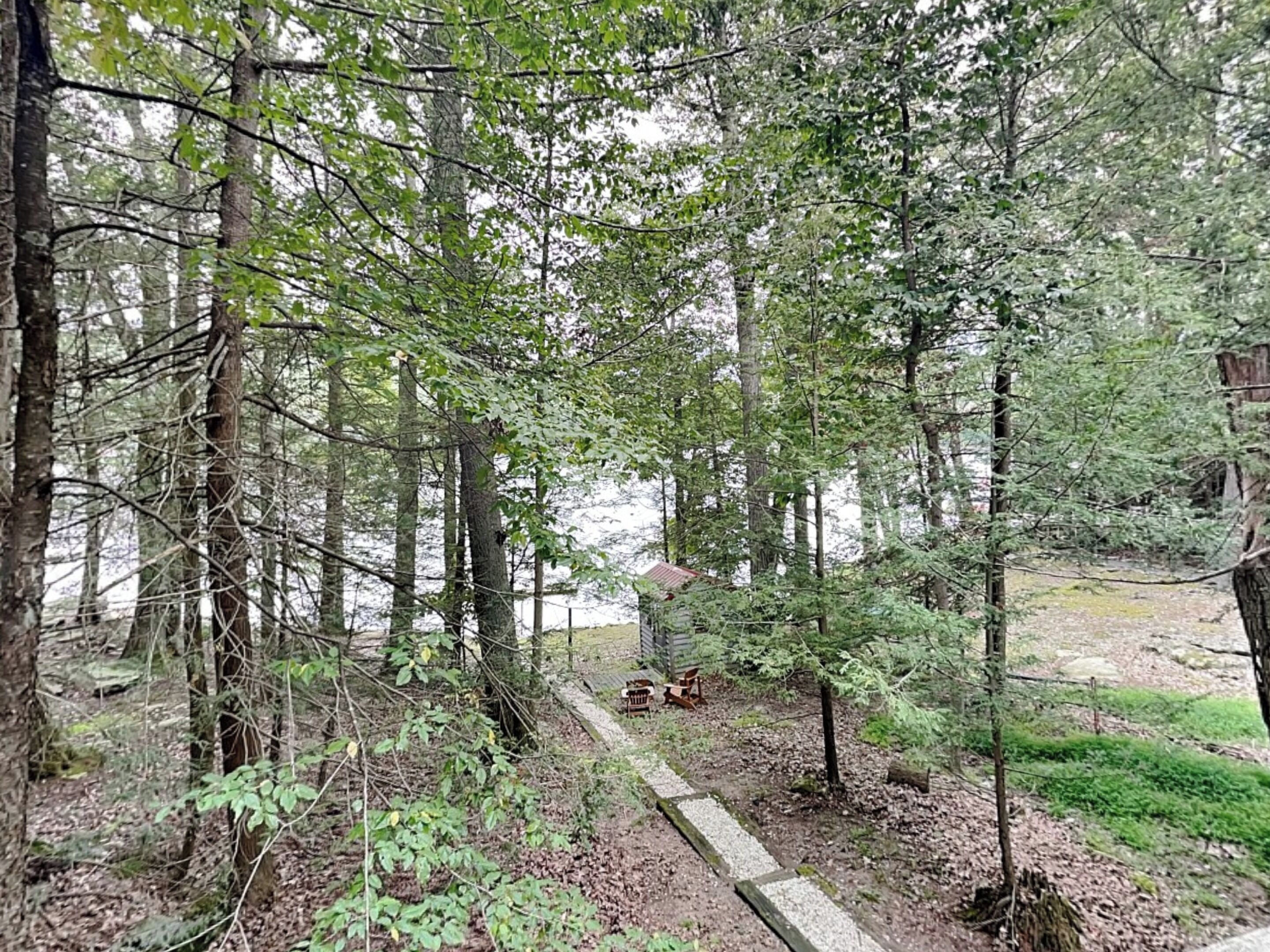 Un área boscosa con un sendero de grava que lleva a una pequeña construcción con techo rojo.