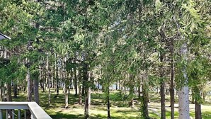 A wooden deck with a railing overlooking a forested area with tall trees. - Arrowhead Village 13 by Taylor Made Deep Creek (Oakland)