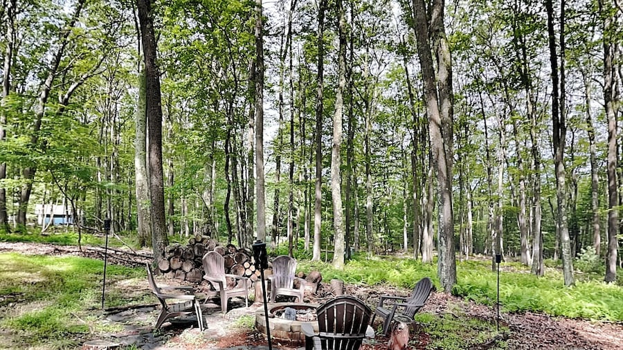 Baby Bear by Taylor Made Deep Creek