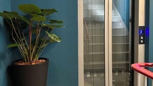 An elevator with a digital display showing the number 3, a potted plant with broad leaves, and a blue wall. - Belivin'98 Sense of Pier Sathon Residence (Bangkok)