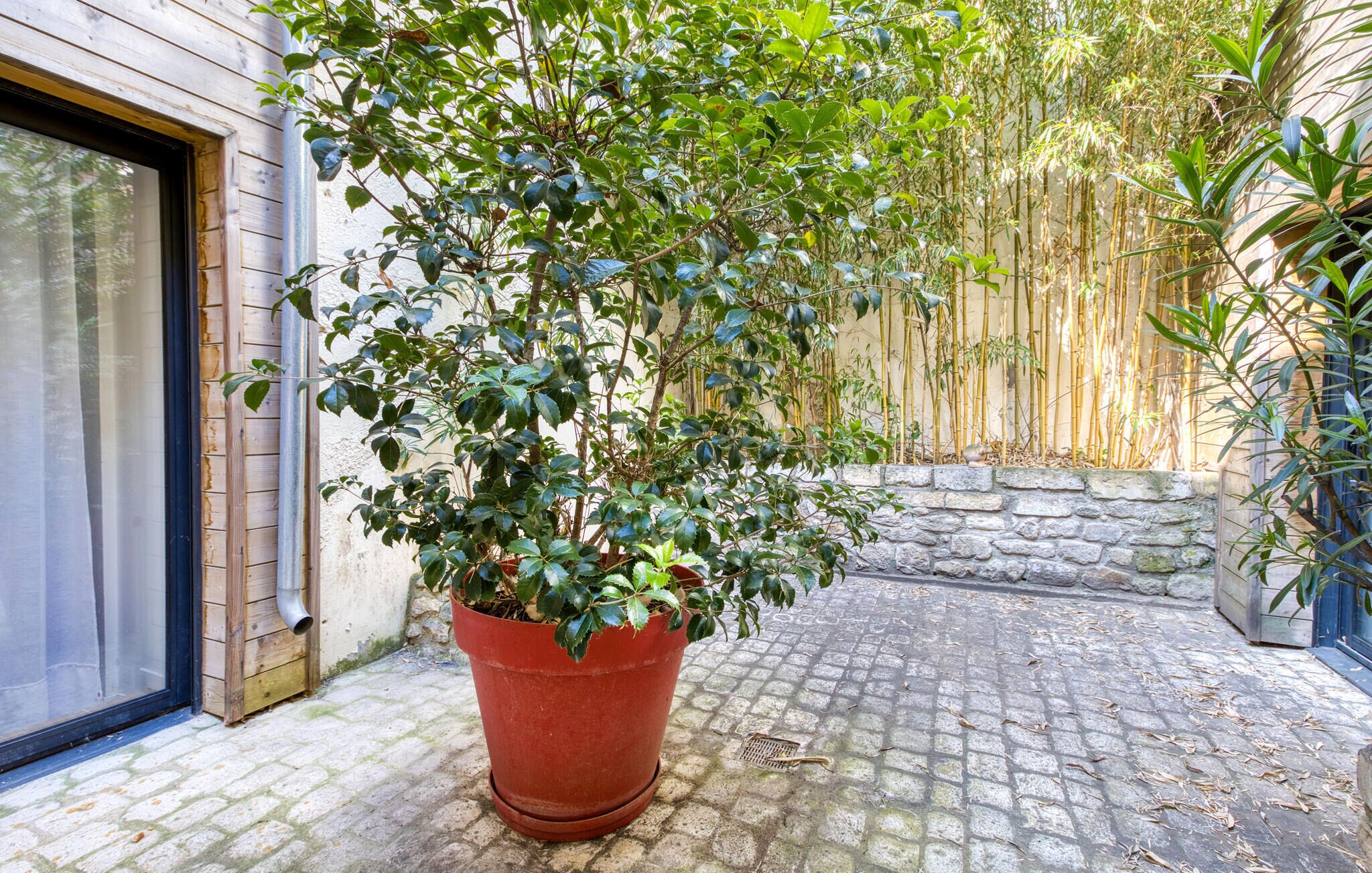 A potted plant in a red pot on a cobblestone patio.