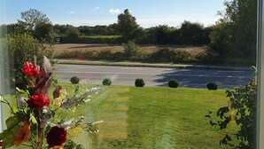 Een uitzicht op een weg en velden, een vaas met bloemen en een plant in pot op de vensterbank.