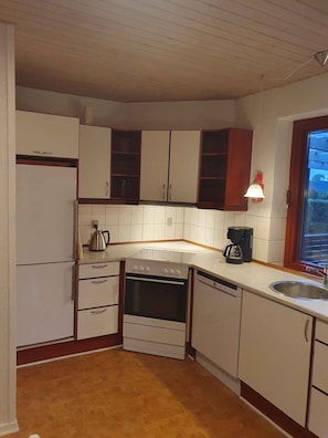 Fridge, oven, stovetop, dishwasher