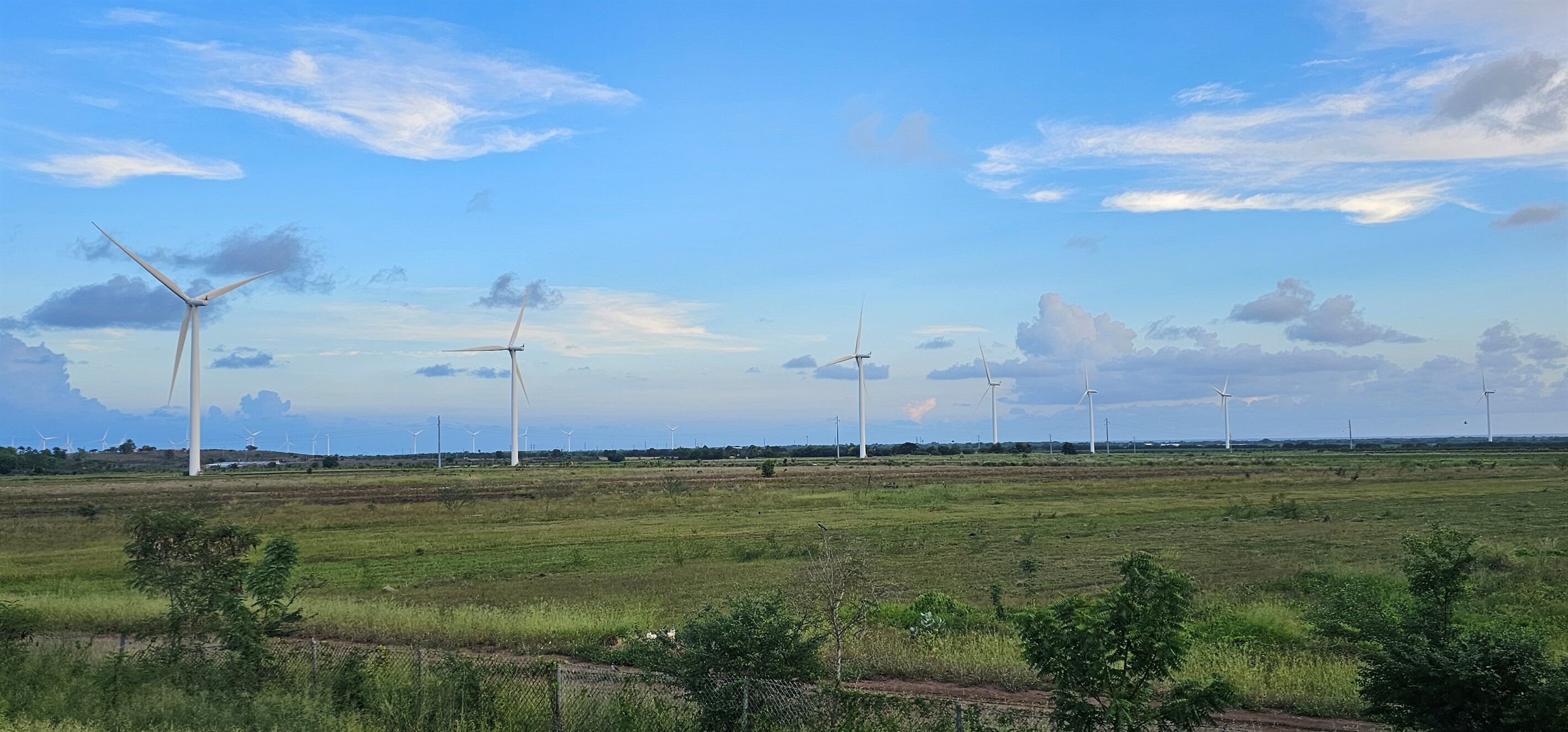 Un paisaje con varias turbinas eólicas en un campo.