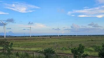 Un paisaje con varias turbinas eólicas en un campo.